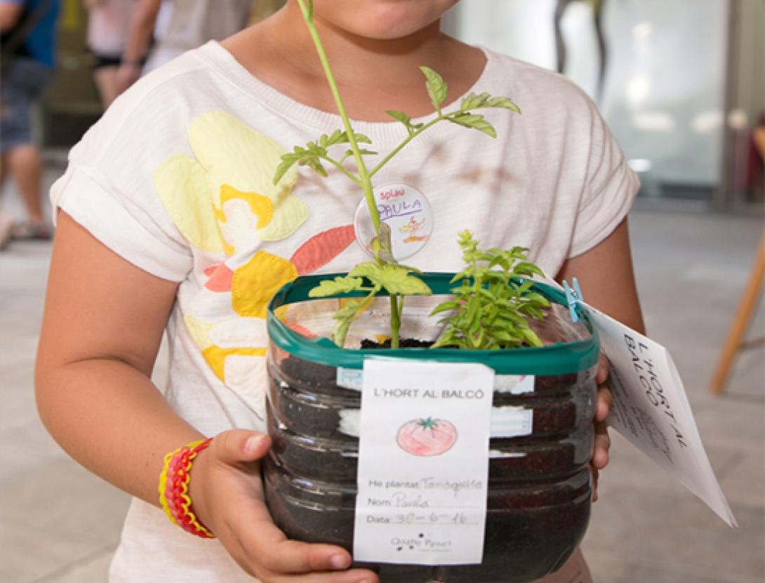 Taller de fruites i hortalisses al centre comercial Splau
