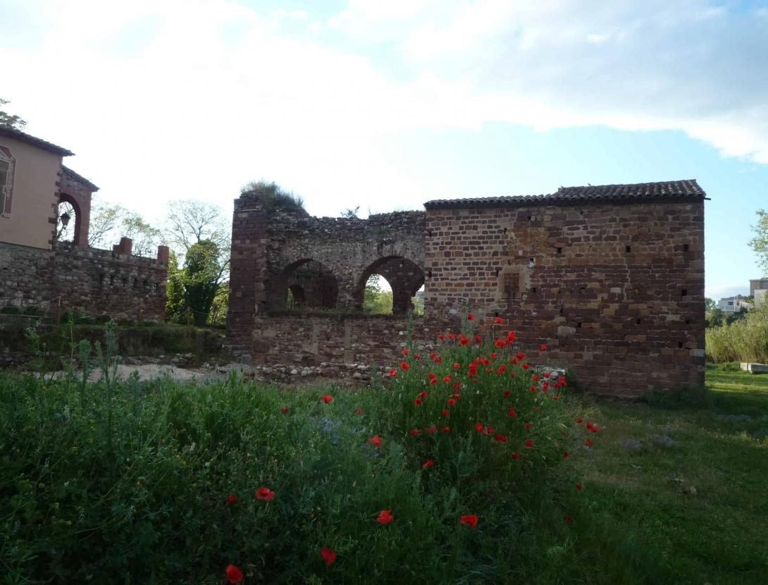 ID 19522-min-min.jpg