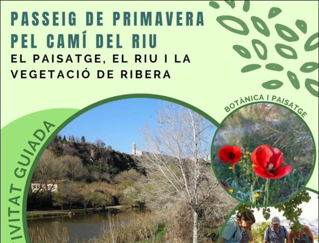 Passeig de Primavera pel Camí del Riu