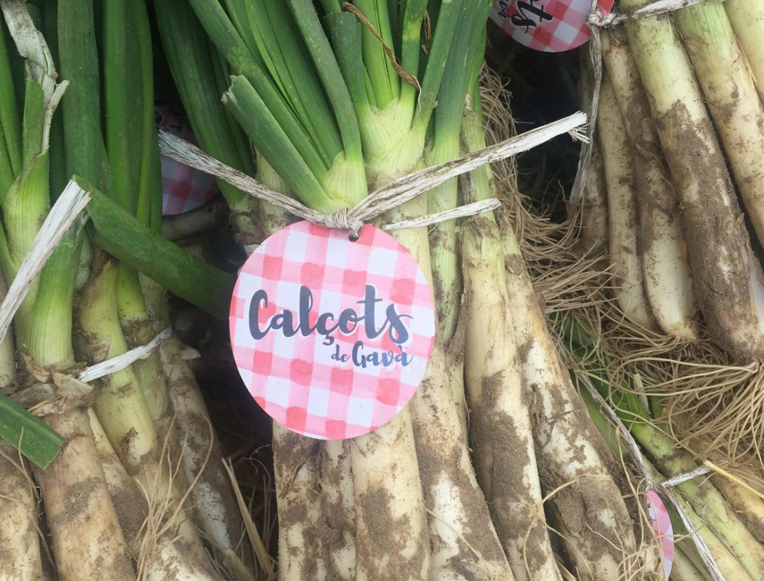 Imatge calçots de Gavà.JPG