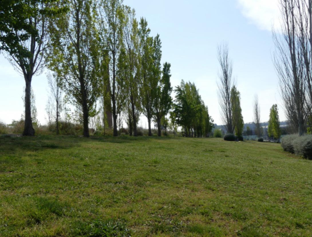 Jugateca del parc del Riu: Gimcana del canvi climàtic