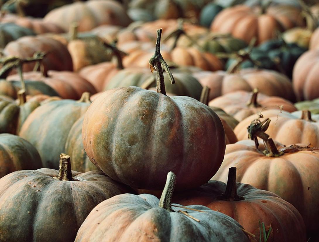 Menú Castanyada i Tots Sants