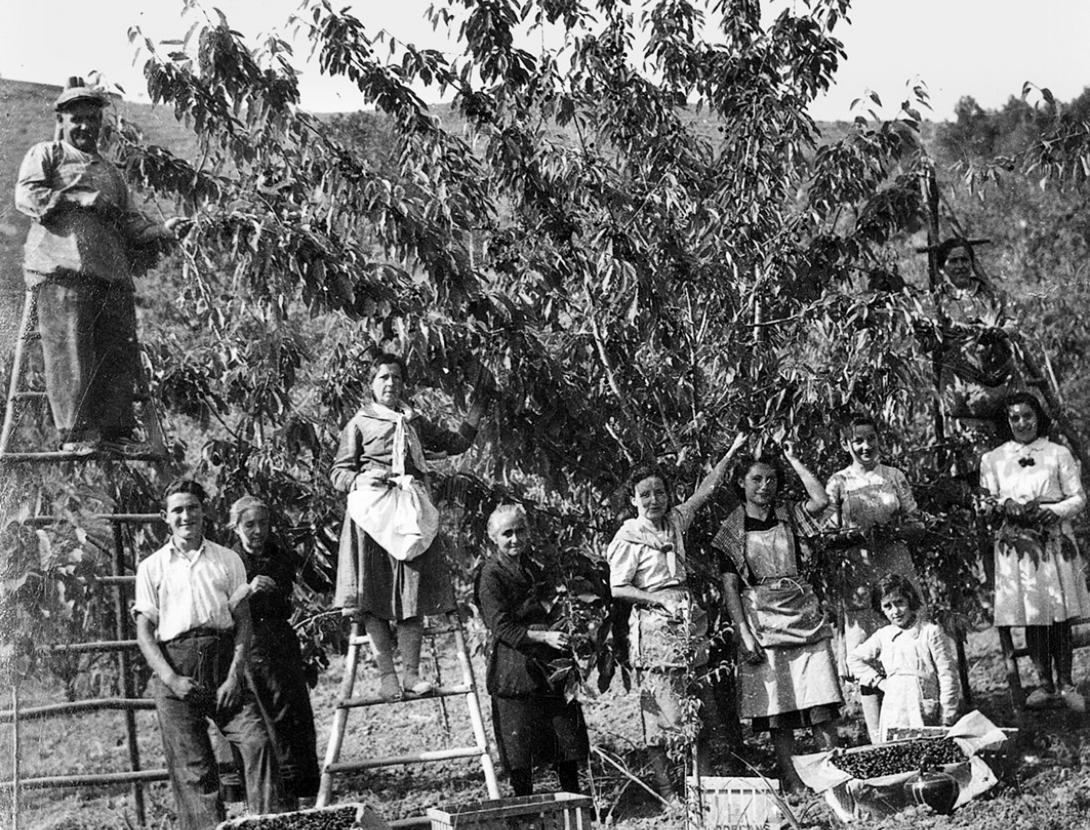 Els capvespres de Ca n' Amat