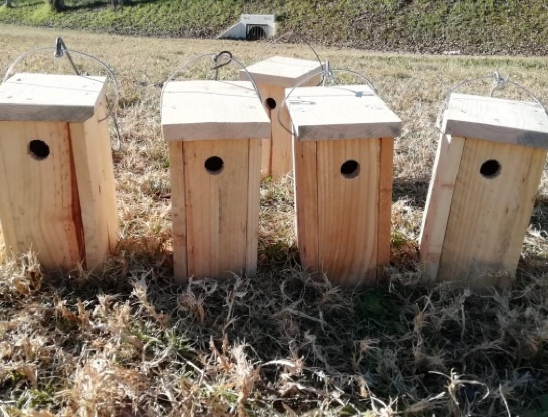 Jugateca del parc del Riu: Fem caixes niu i menjadores