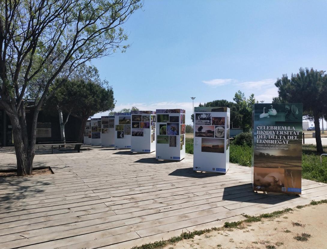 Celebrem la biodiversitat del Delta del Llobregat