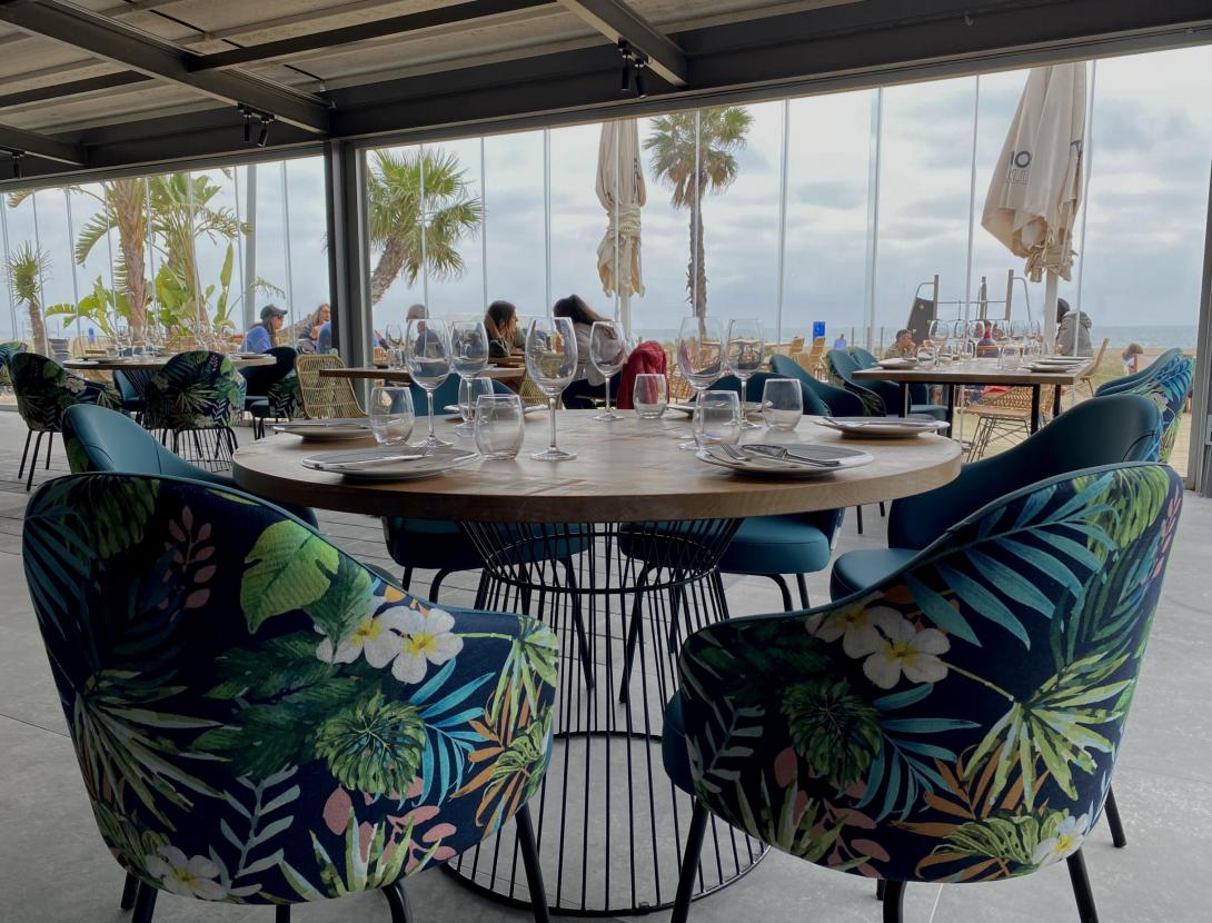 Celebra la Navidad en Tibu-Ron Beach Club