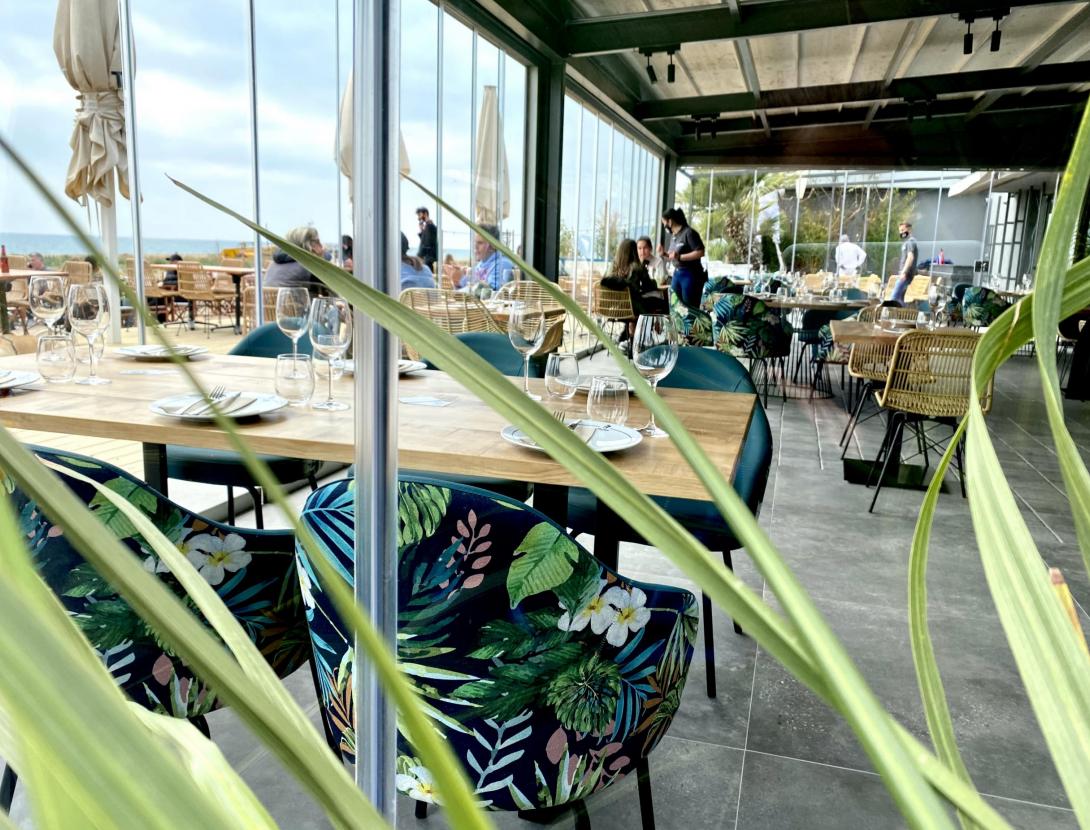 Celebra la Navidad en Tibu-Ron Beach Club