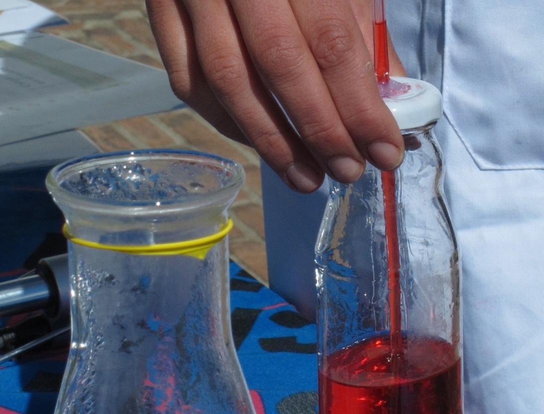 IMG_1957-copia- baixa-1.jpg