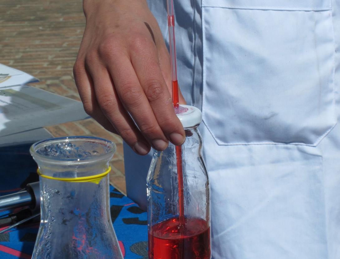 IMG_1957-copia- baixa.jpg