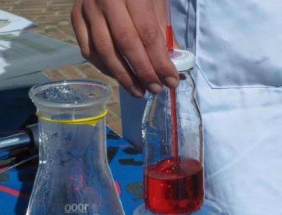 IMG_1957-copia retallada-compri.jpg