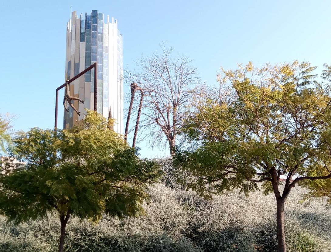 De torrent a parc: recorregut històric pel parc de la Fontsanta