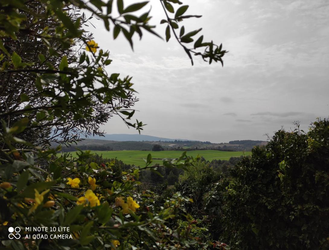 PINTEM AMB VI? Vine a l’Estudi d’Art TINTA I VI