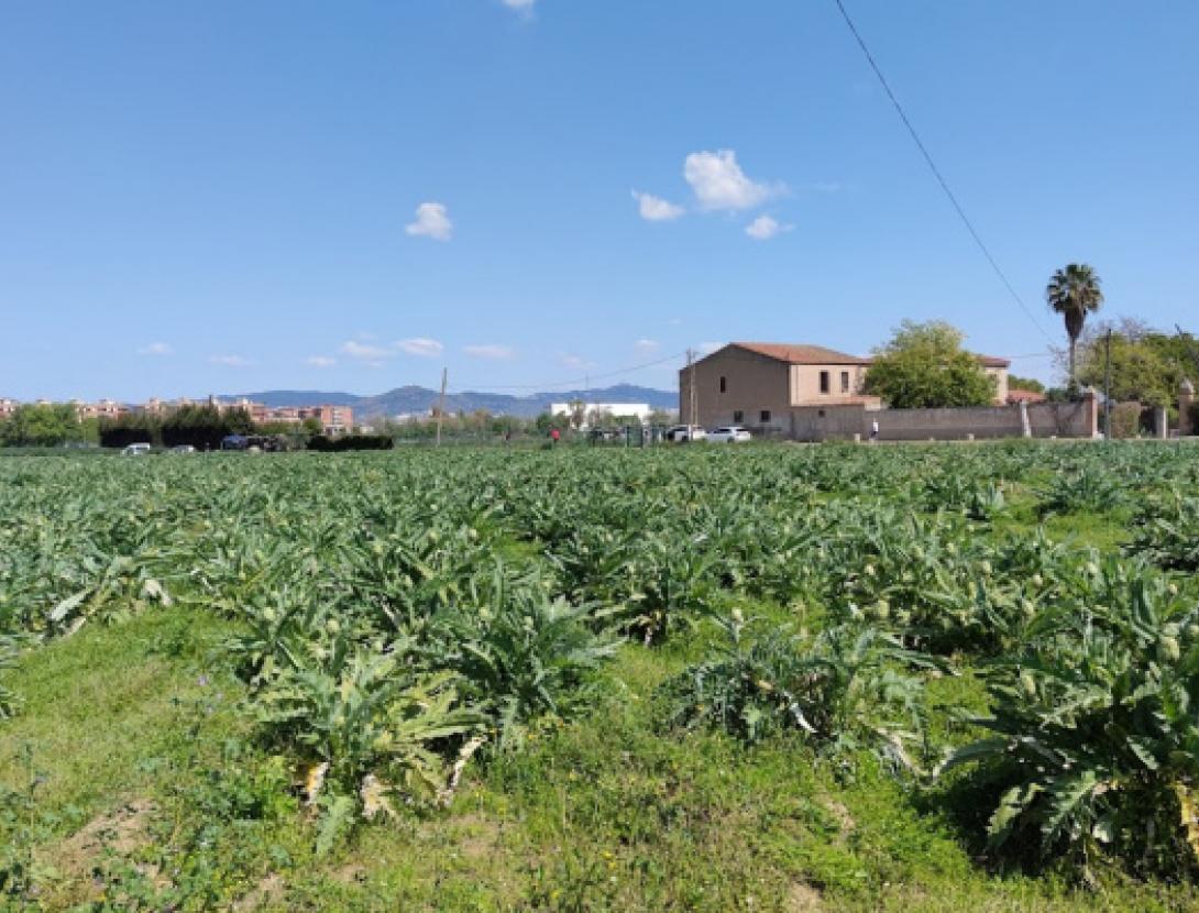 Passejada de descoberta