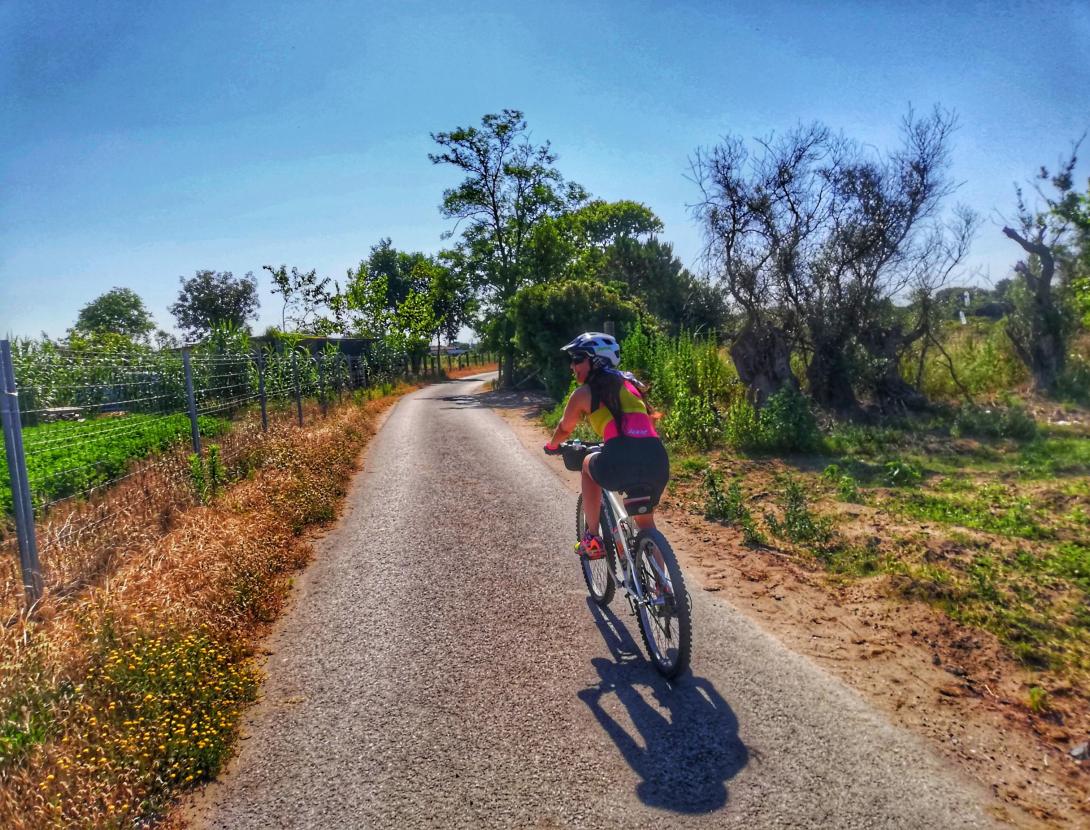 CAMINS SECRETS DEL LLOBREGAT - Descobreix els senders del Baix Llobregat !