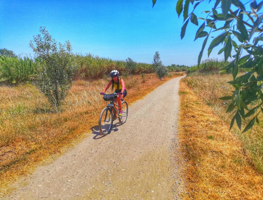 CAMINS SECRETS DEL LLOBREGAT - Descobreix els senders del Baix Llobregat !