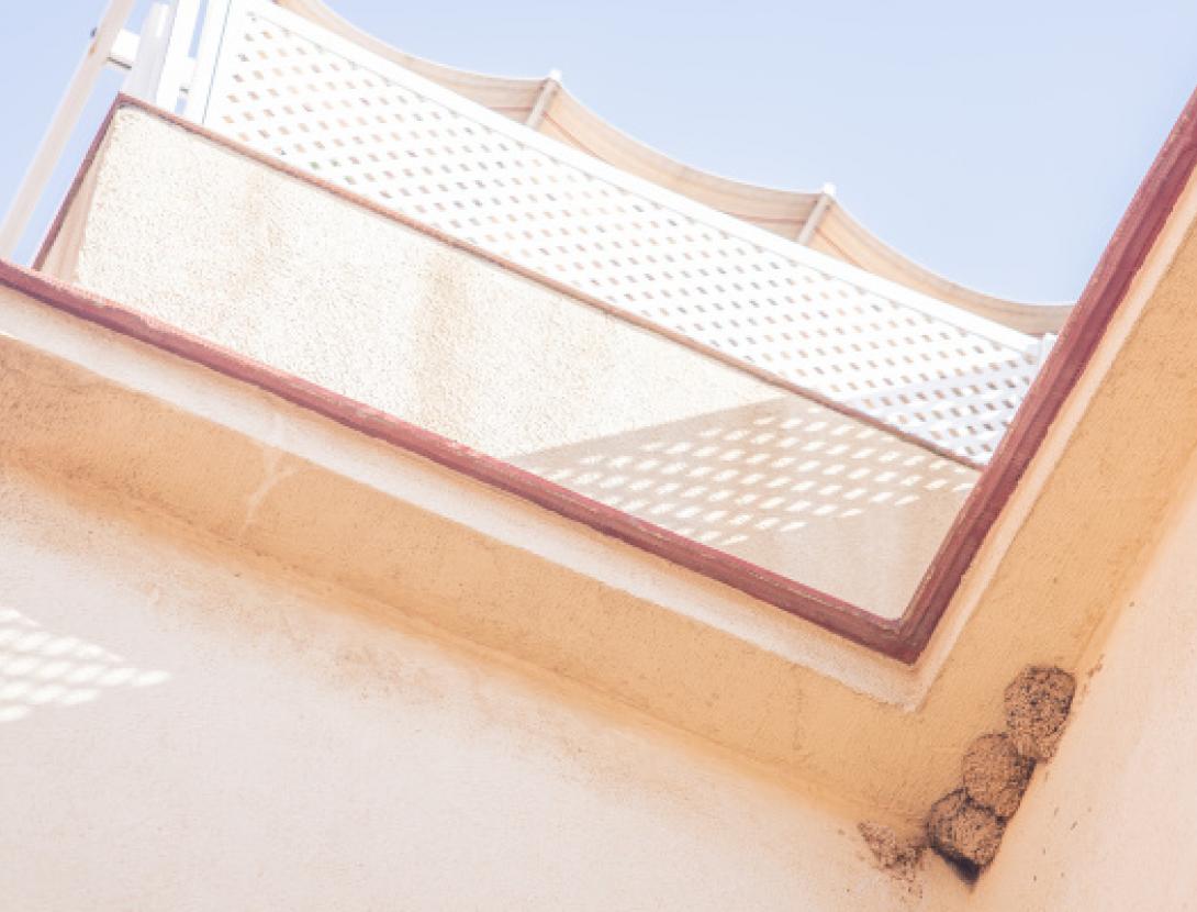 Vols conèixer quantes orenetes hi ha al Prat?