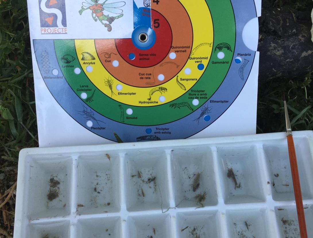 Inspecció del riu Anoia a Martorell