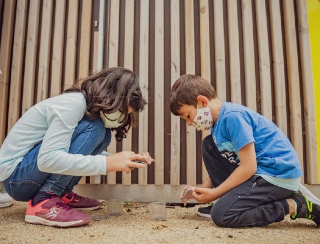 Jugateca: cens d'insectes