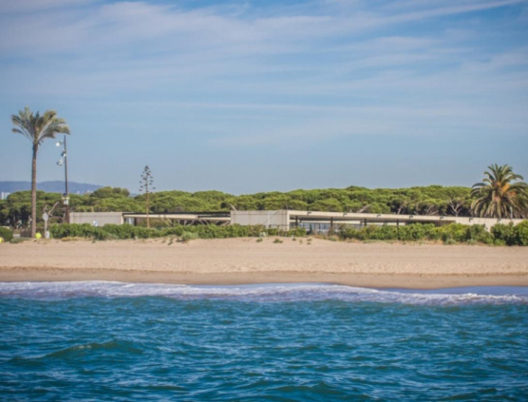 Jugateca de la platja: Renaturalitzem la platja