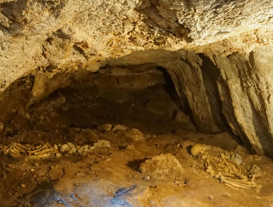 PER A QUE SERVIA UNA COVA A LA PREHISTÒRIA? Jornada de portes obertes