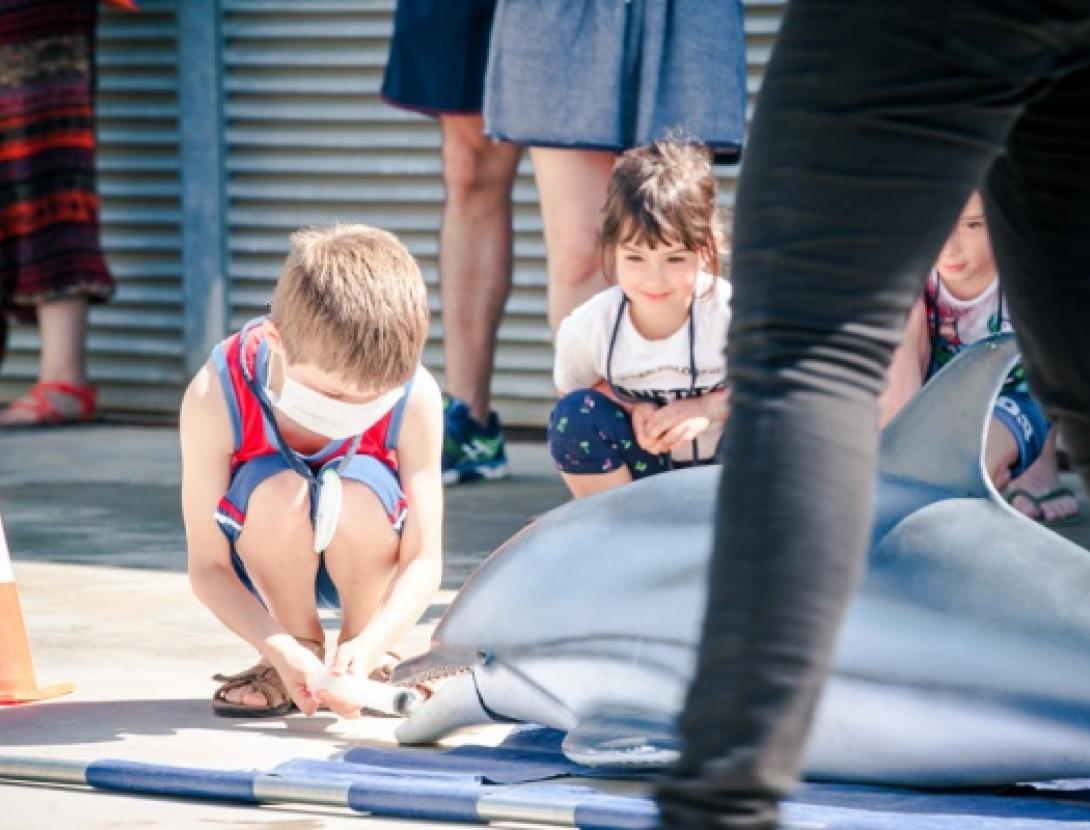 Simulacre del rescat d'un dofí