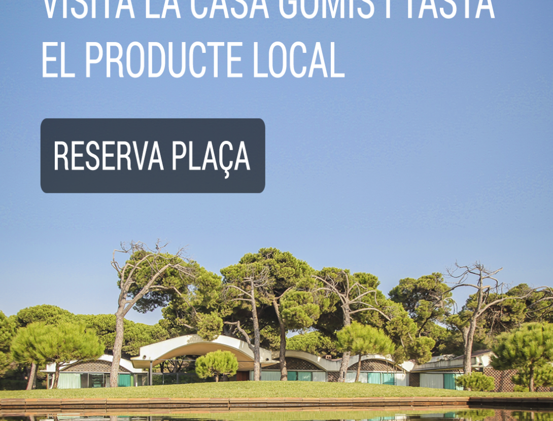 Instagram formato standar.png