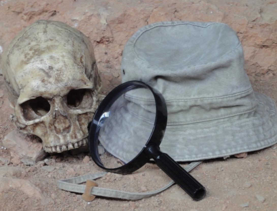 Investigació oberta.JPG