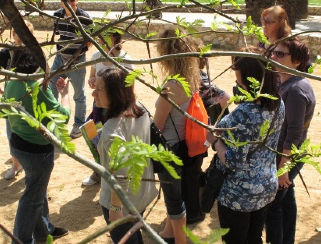 El Parc de Can Mercader. Una passejada pel jardí romàntic
