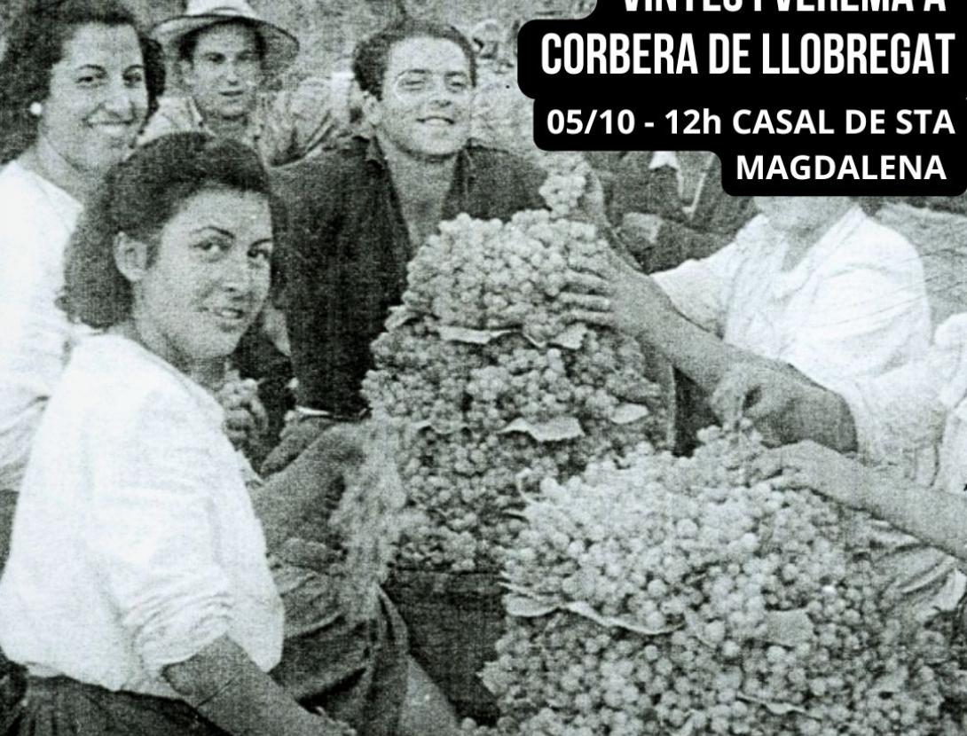 El món agrícola del segle XIX: oficis, vinyes i verema a Corbera de Llobregat