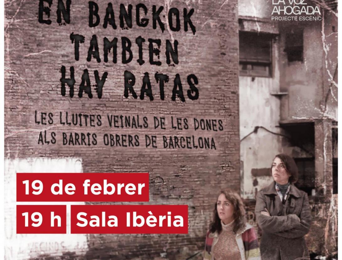 En Bangkok también hay ratas