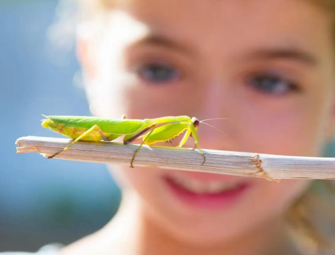Jugateca Ambiental. El safari fotogràfic