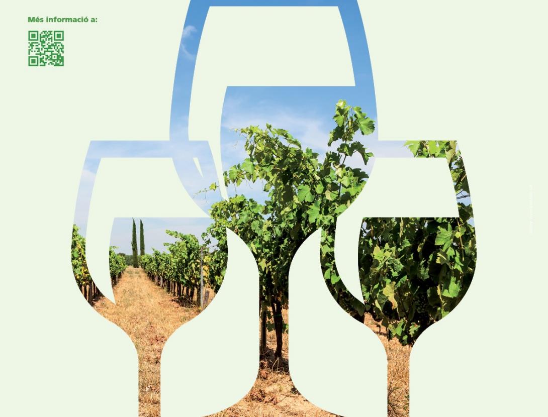 la vinya i el vi.jpg