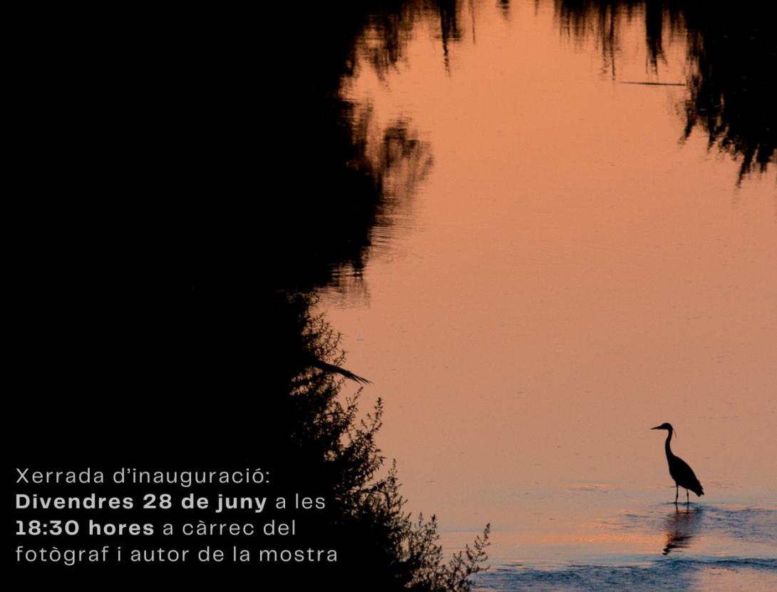 Exposició fotogràfica &quot;Llobregat, natura amagada&quot;