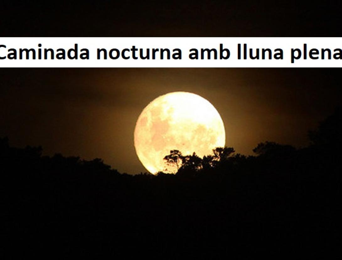 Caminada nocturna amb lluna plena