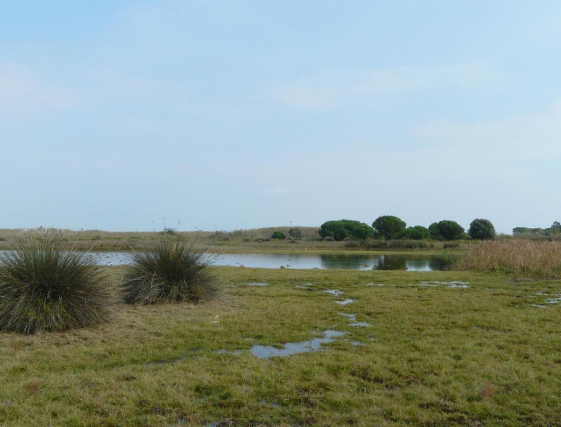 Visita guiada a la Maresma de les Filipines