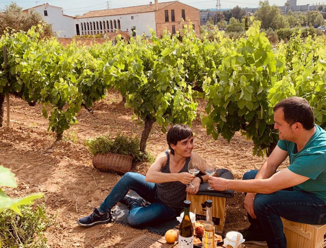 Pícnic entre vinyes