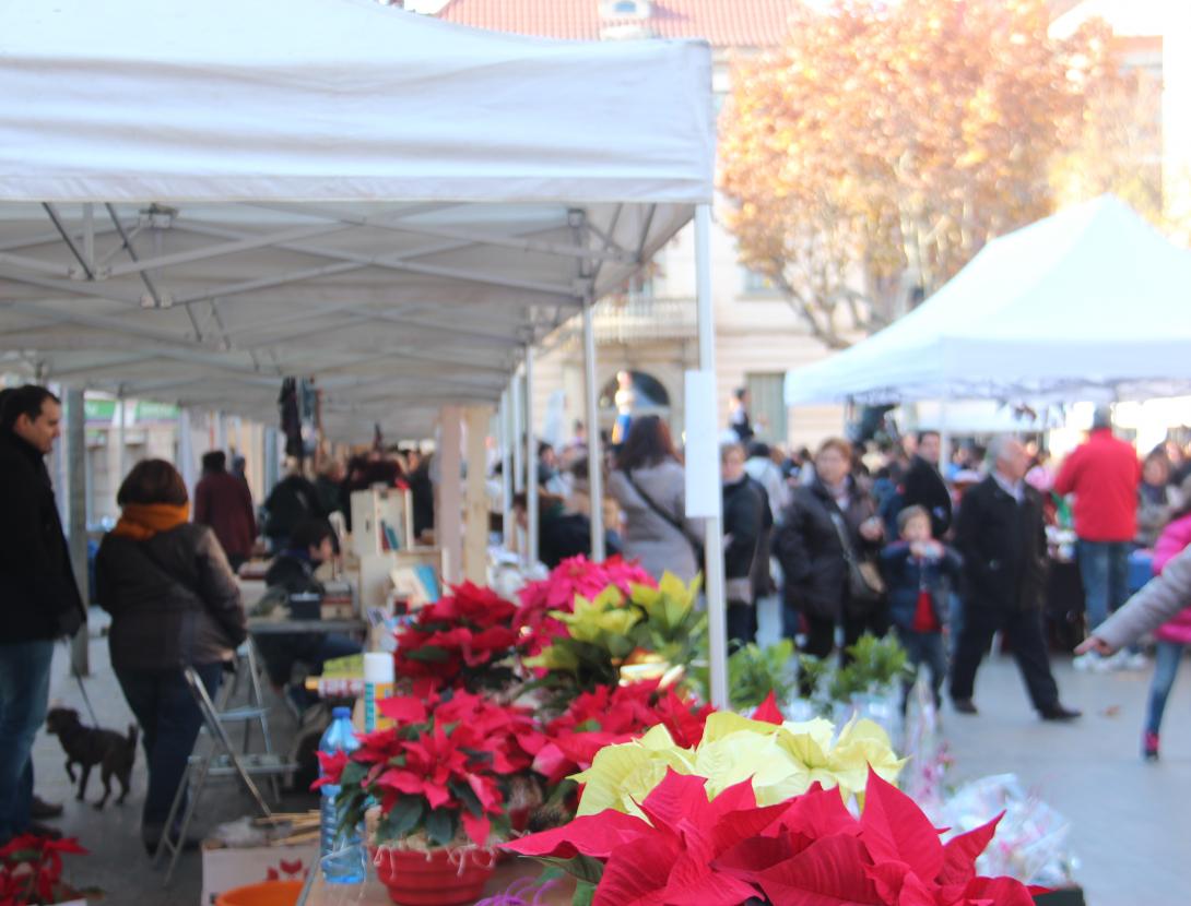 Venda de ponsetias al mercat de Nadal