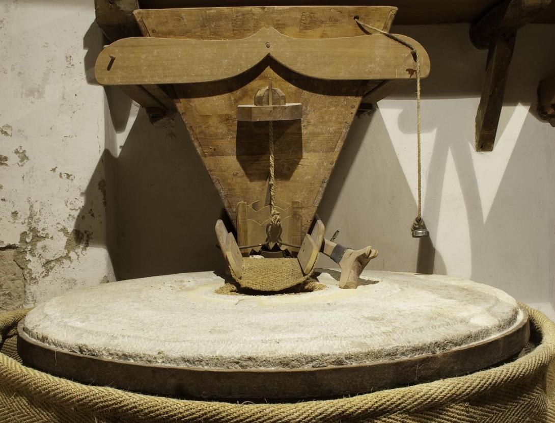 Visita guiada als Molins Fariners
