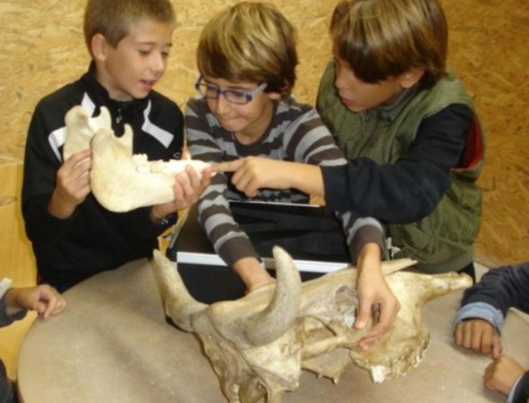 Taller familiar: Objectiu: Neolític!