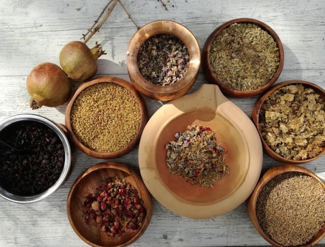 Taller de Santa Llúcia: Antídot contra la peste: triaga