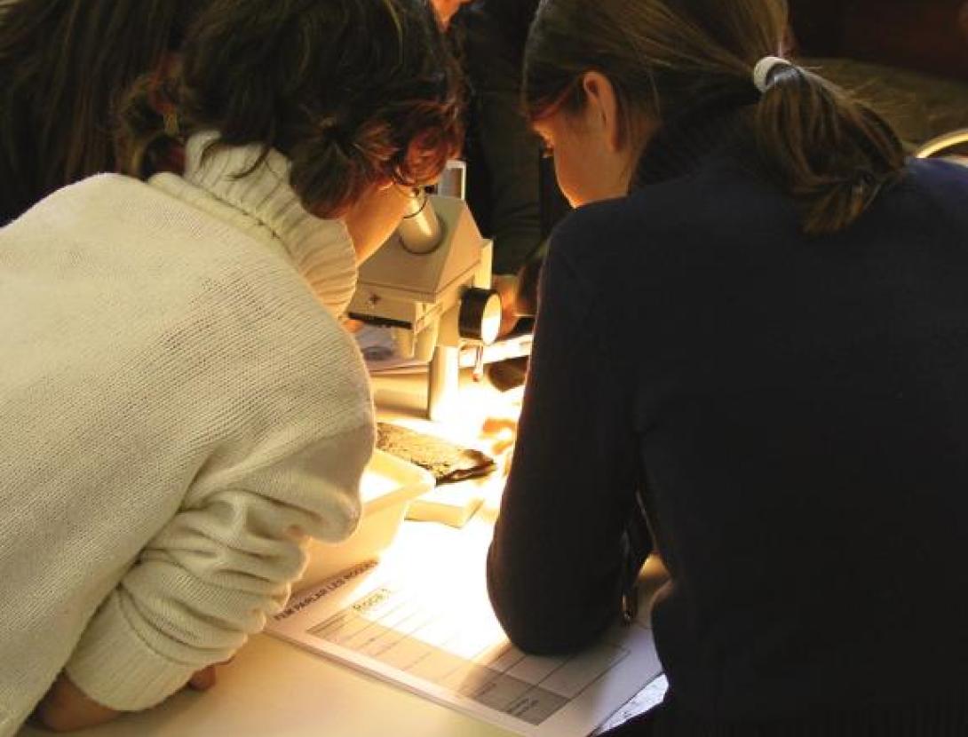 Al microscopi: descobrint la formació de les roques