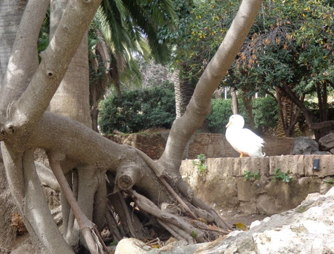 Portes obertes a l’exposició “Redescobrint Can Mercader”