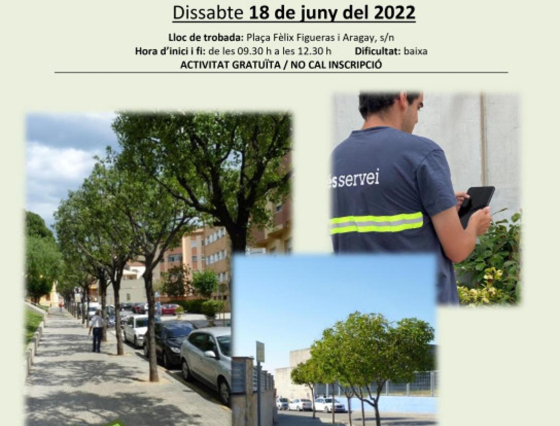 Vols conèixer el verd urbà de les places i carrers d'Olesa?