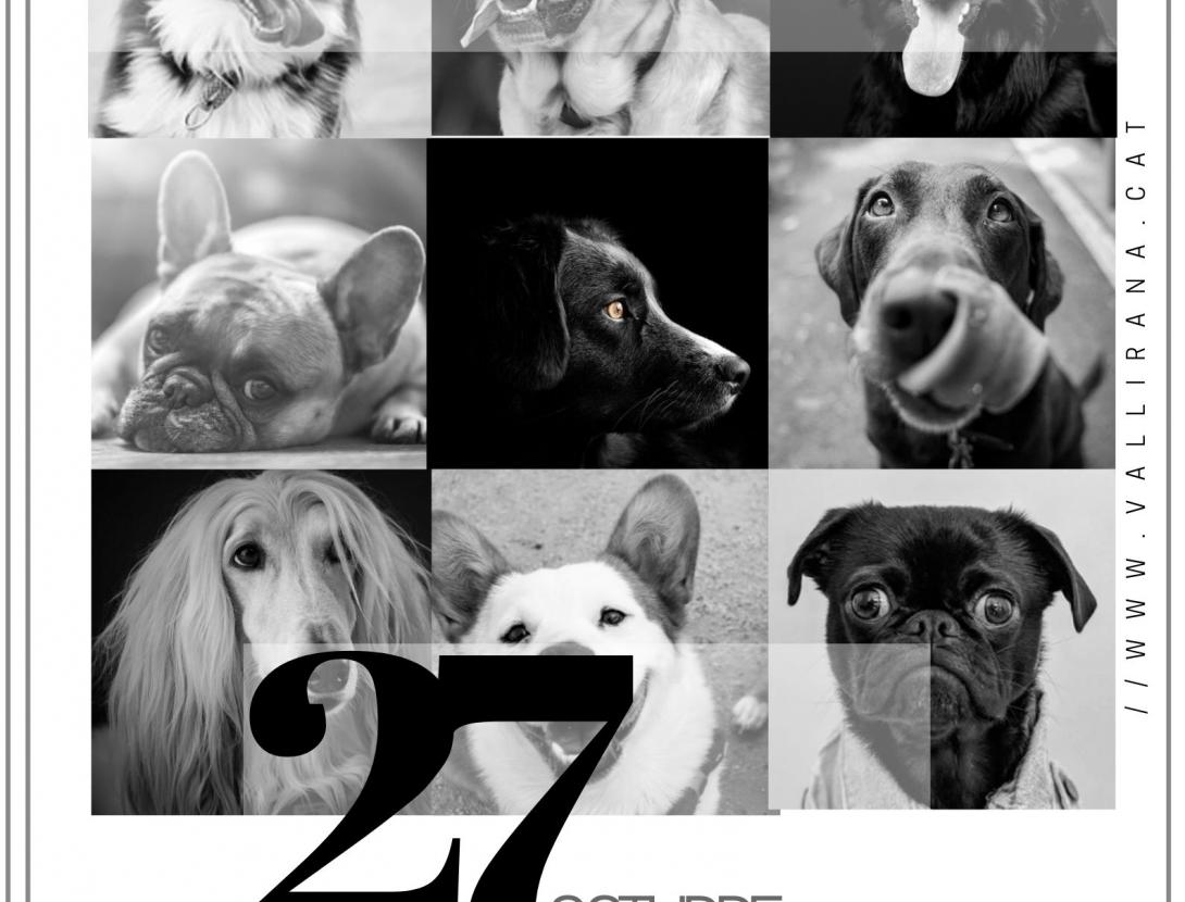 Passejada Guiada amb Gossos Octubre.jpg