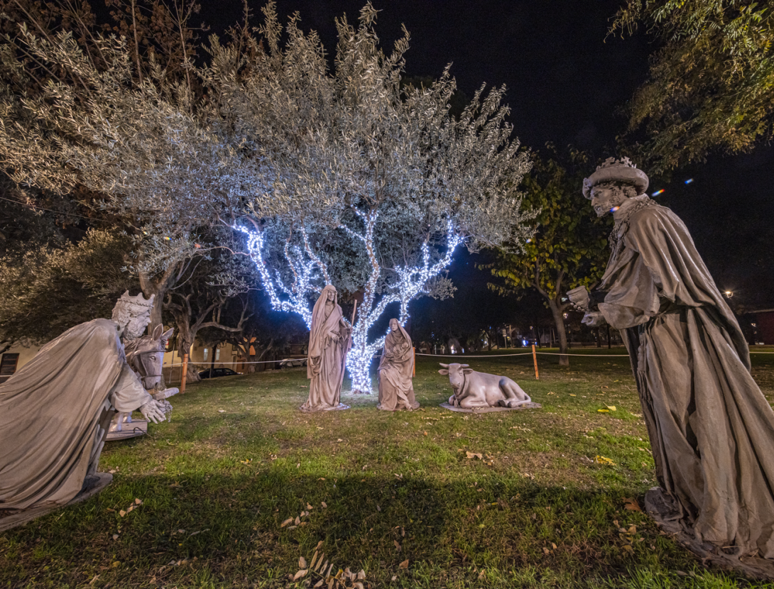 Pessebre de l'olivera i concert de Nadal a Olesa de Montserrat