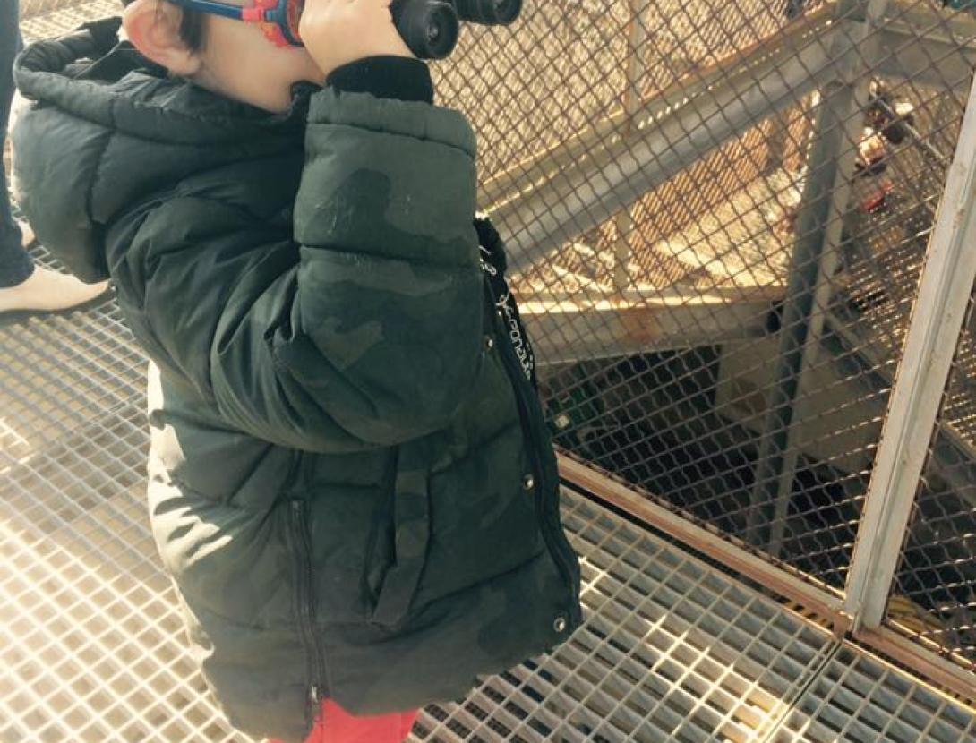 petit explorador.jpg