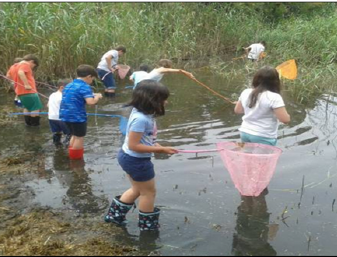 Amb els peus a l'aigua