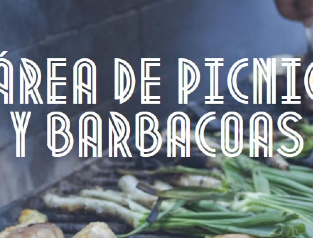 picnic barbacoa europa.jpg