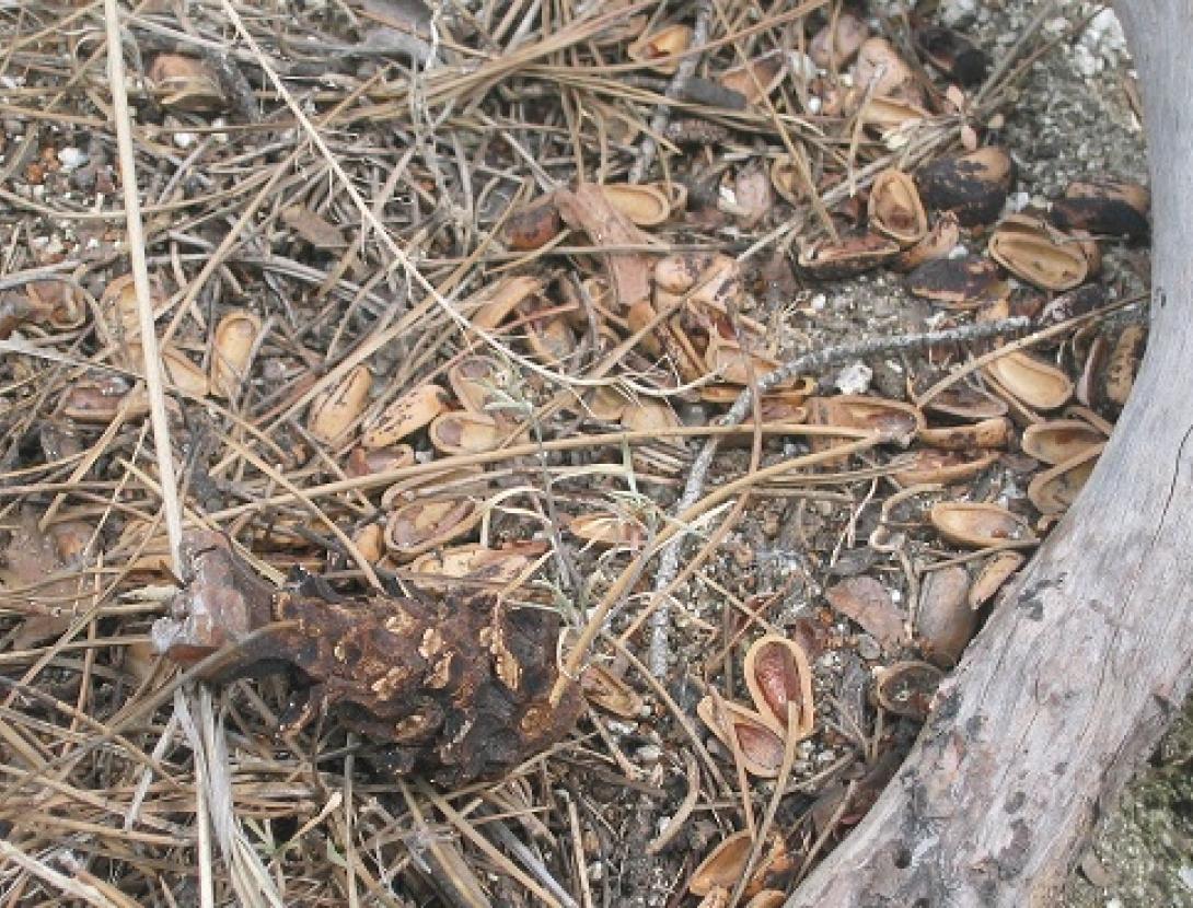 Sortida Fauna Secreta