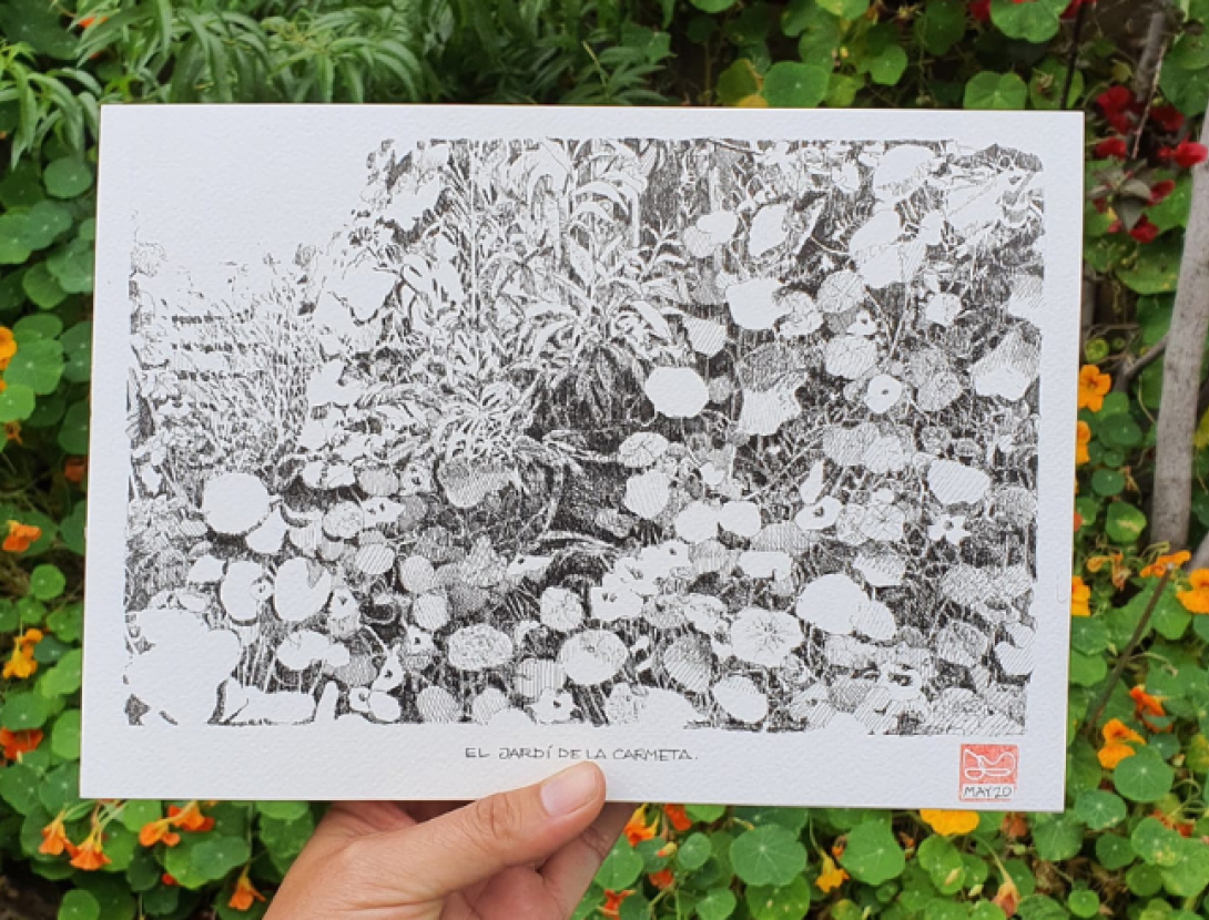 Urban sketching: Dibuixem la biodiversitat del jardí de papallones